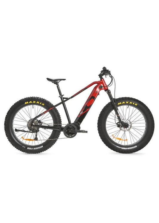 IGO VÉLO ÉLECTRIQUE OUTLAND TORNGAT RS FAT BIKE MOTEUR PEDALIER